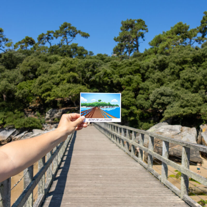 Carte Postale "Bois de la Chaize"